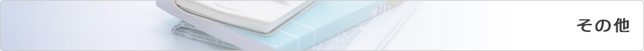 その他